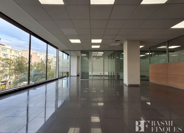 <es>image005</es><ca>image005</ca><en>image005</en><fr>image005</fr>