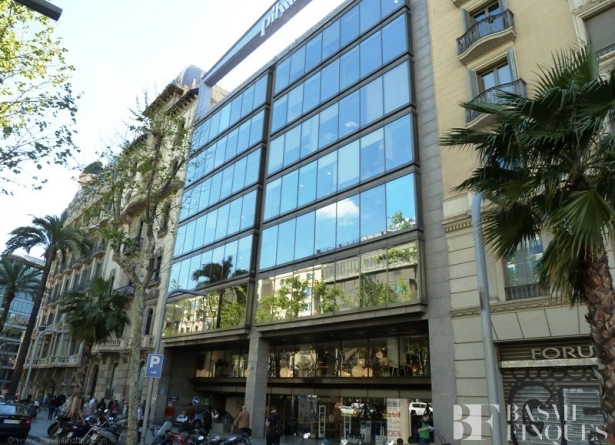 <es>FINCA</es><ca>FINCA</ca><en>FINCA</en><fr>FINCA</fr>