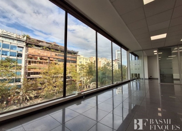 <es>image006</es><ca>image006</ca><en>image006</en><fr>image006</fr>